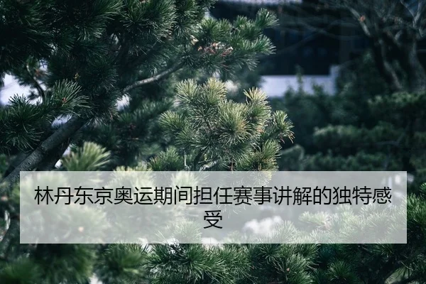 lin-dan-dong-jing-ao-yun-qi-jian-dan-ren-sai-shi-jiang-jie-de-du-te-gan-shou-2-364.jpg